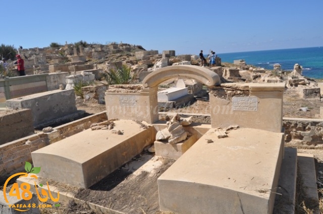 WhatsApp Image 2022-05-25 at 1.02.03 PM (1).jpg